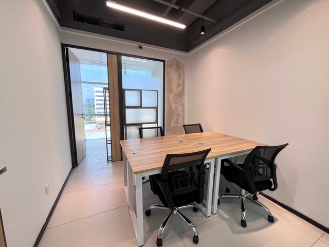 云南蝎子虫珀种类